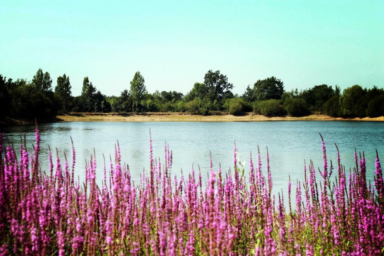 Camping Au Pre De L'Etang Sainte-Foy  Exteriér fotografie